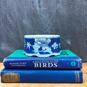 May include: A blue and white ceramic container with a floral design sits atop two books. The top book is green, and the bottom book is blue. The books are titled "A Field Guide to the Birds" and "Long Storm".