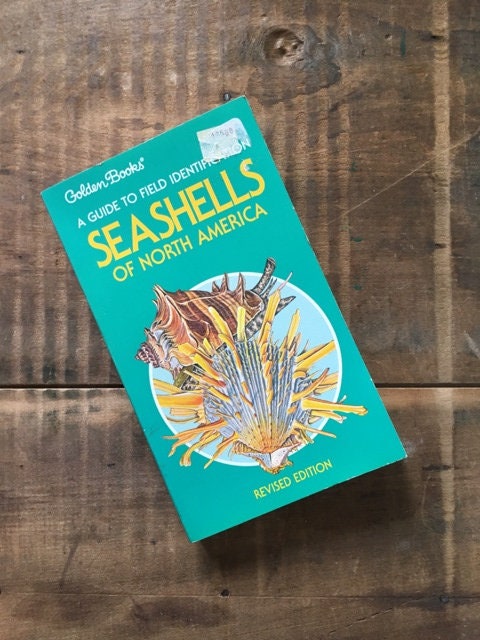Seashells of North America Book by R Tucker Abbott Revised