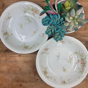 Vintage Thomas Haviland Soup Bowls Made in Limoges France Fine Porcelain Pink Roses Green Leaves Set of TWO 2
