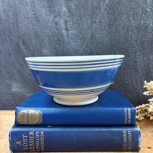 May include: A white ceramic bowl with horizontal blue stripes resting on two stacked blue hardcover books titled Long Storm by Ernest Haycox and A Lost Leader by E. Phillips Oppenheim, both published by Little, Brown and Company.