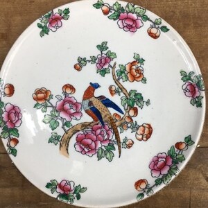 Puede incluir: Un platillo de porcelana blanca con un diseño floral con flores rosas, rojas y naranjas. Un faisán con plumas marrones, naranjas y azules está posado en una rama en el centro del platillo.