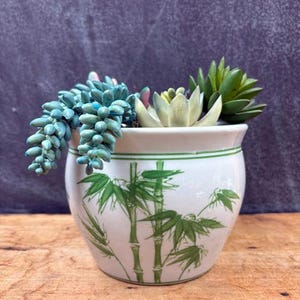 May include: A white ceramic planter featuring a green bamboo stalk and leaf pattern around the exterior. The planter contains a variety of artificial succulents, including a trailing blue-green plant and a central pale green rosette-shaped succulent.