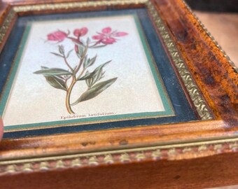 H Hal Kramer Chicago Antiqued Collection Miniature Botanical