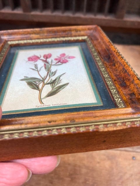 H Hal Kramer Chicago Antiqued Collection Miniature Botanical