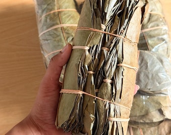 May include: A bundle of dried, brown, elongated leaves stacked together and secured with thin, light-colored rubber bands. The leaves have a textured, papery appearance and are arranged in a cylindrical shape, with additional bundles visible.