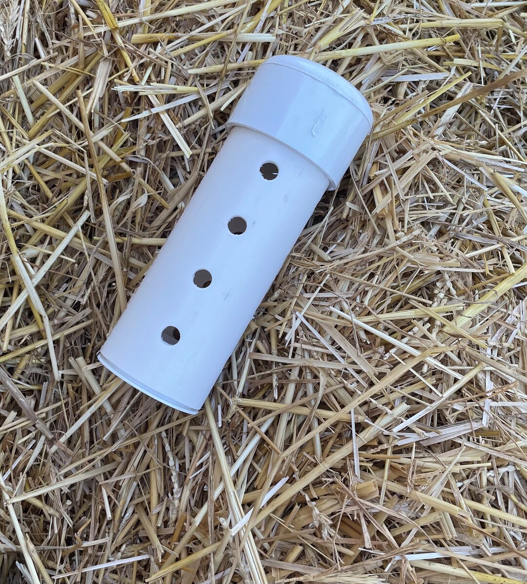 Scent Training Tubes for Dogs. Hide N Seek, Hot Dawgs, Anise, Clove