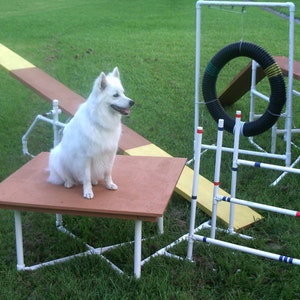 Dog Agility Equipment Construction Instruction Booklet - Etsy