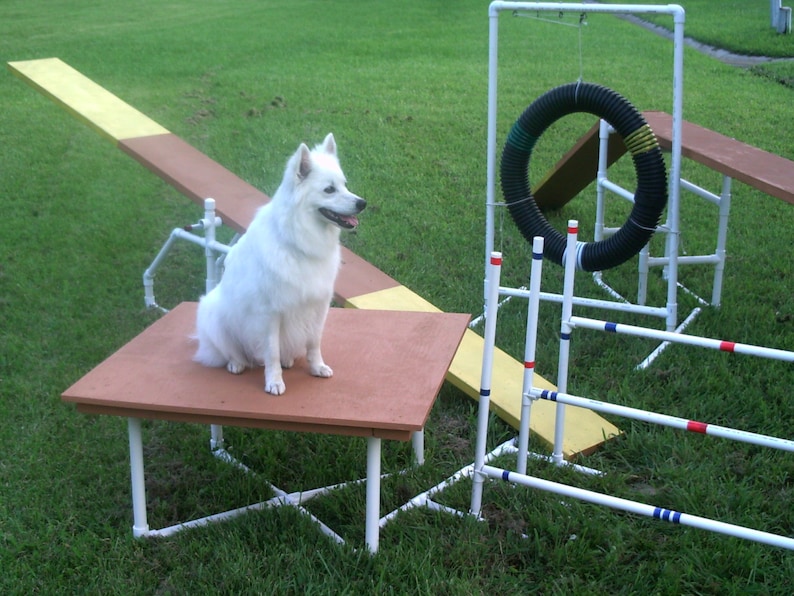 Dog Agility Equipment Construction Instruction Booklet image 1