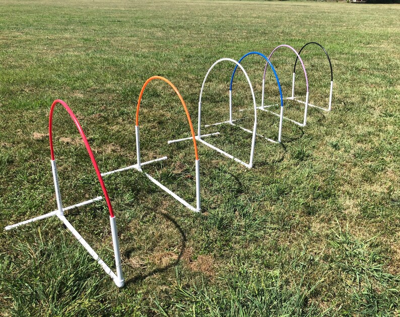 Agility equipment for sale Clearance