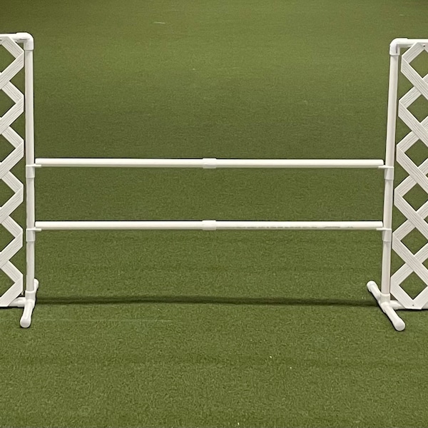 Handlers Choice Agility Seesaw