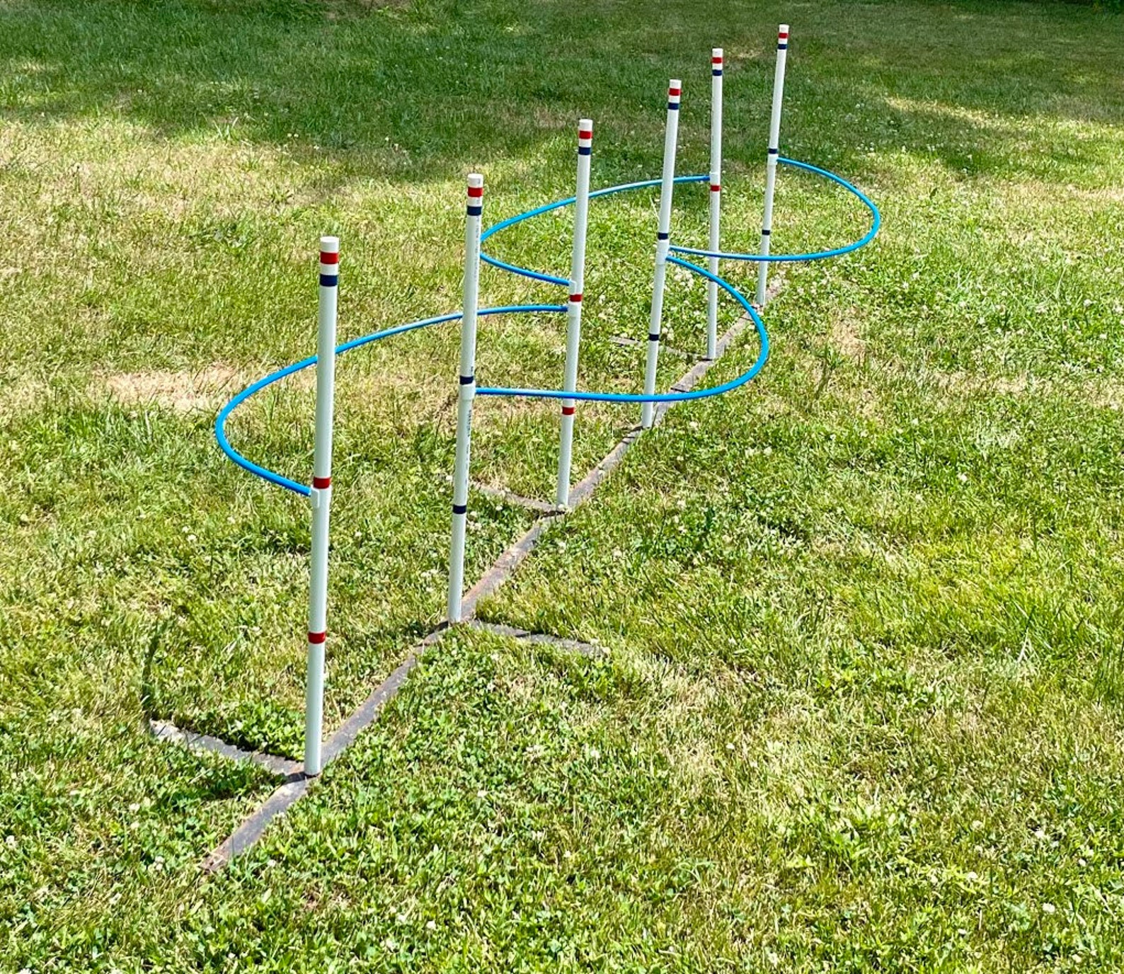 Dog Agility Weave Pole Training Guide Wires FREE SHIPPING Etsy
