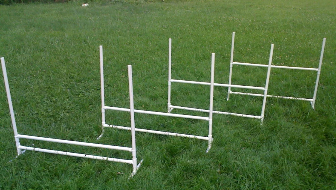 We made a basic agility course with PVC, pipes and screws. Cost us