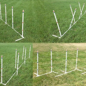 Ama-Zing Dog Agility Training Weave Poles  Straight, Slant, Channeled, even 2-by-2! Set of 6 poles PLUS 3 Zippydogs' Jumps  FREE US shipping