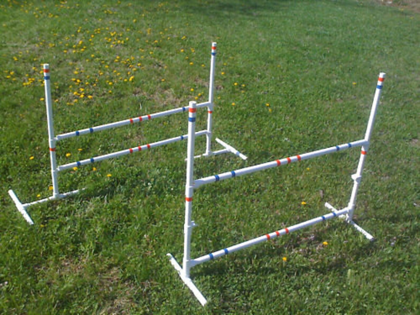 Dog Agility Training Jump Etsy