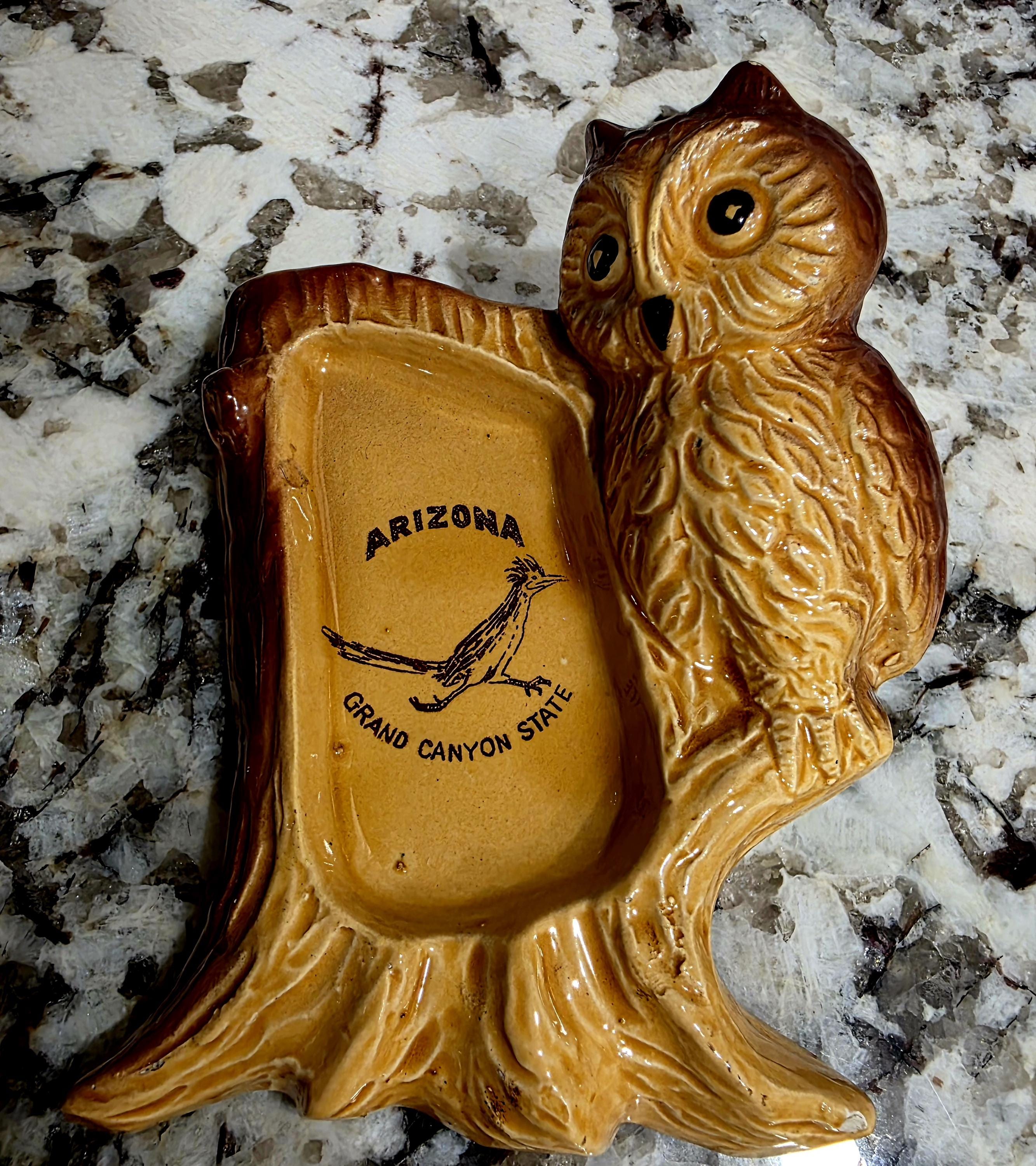 Vintage Mid Century Arizona Souvenir Owl Trincket Dish or Wall Hanging with Road Runner