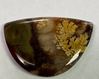 Agate plume de Priday