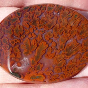 Red Plume Agate from the Woodward Ranch, Large Flat Cab