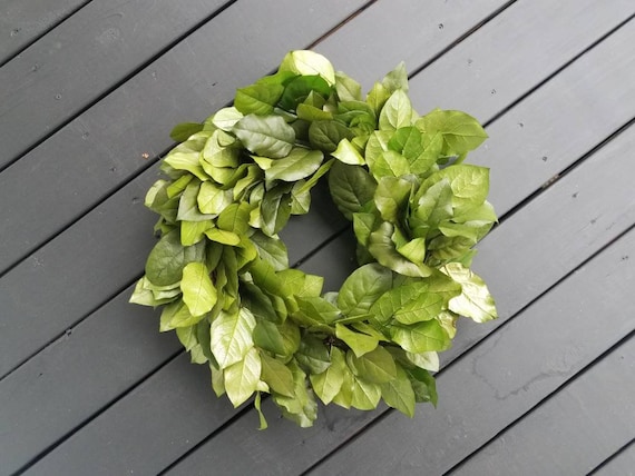 Salal or Lemon Leaf Wreath