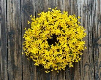 Forsythia Wreath: Handmade Spring/Summer Floral Wreath (22 inch)