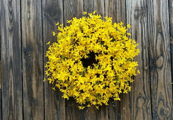 Spring Wreath, Summer Wreath, Easter Wreath, Forsythia Wreath