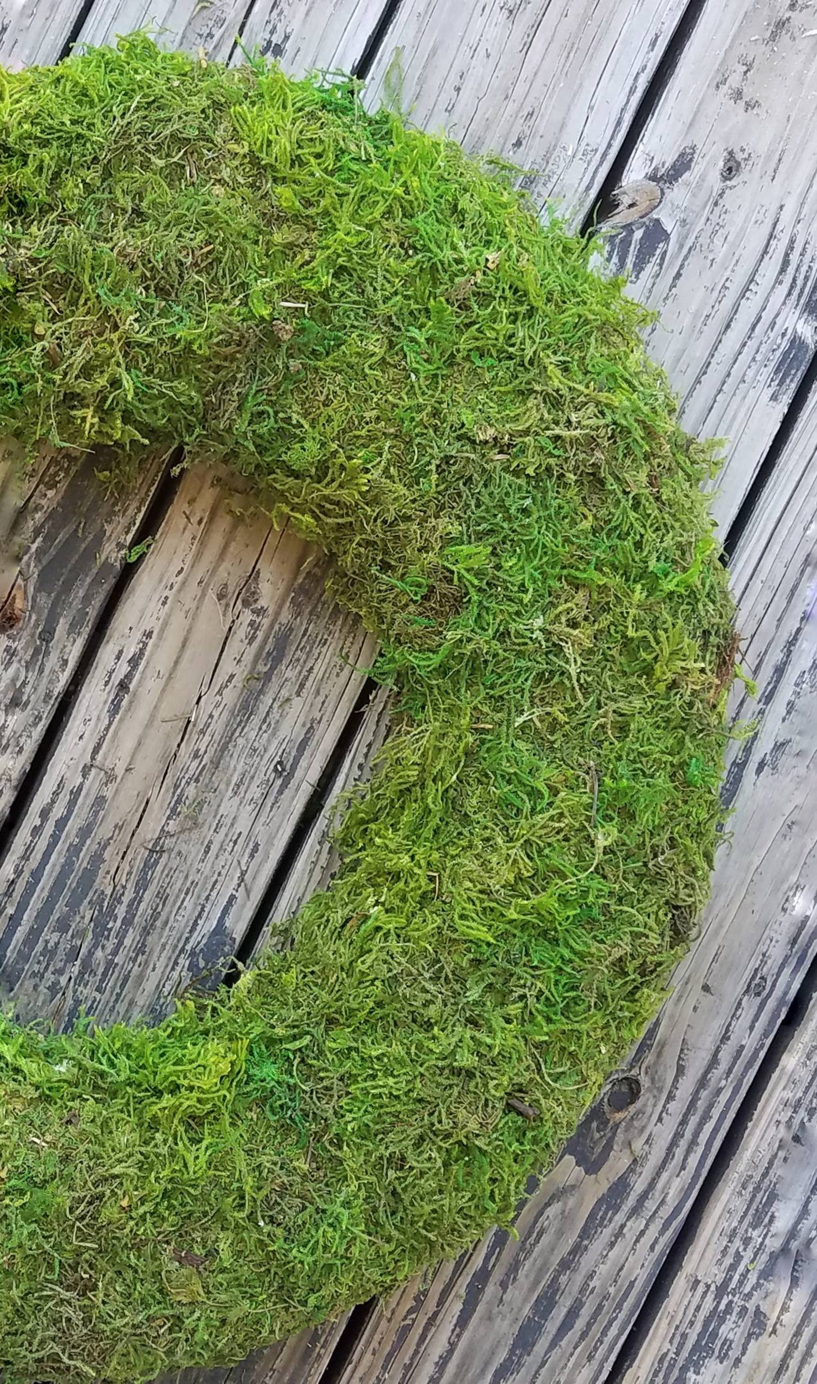 Wreath Moss Covered Wreath Moss Wreath Etsy