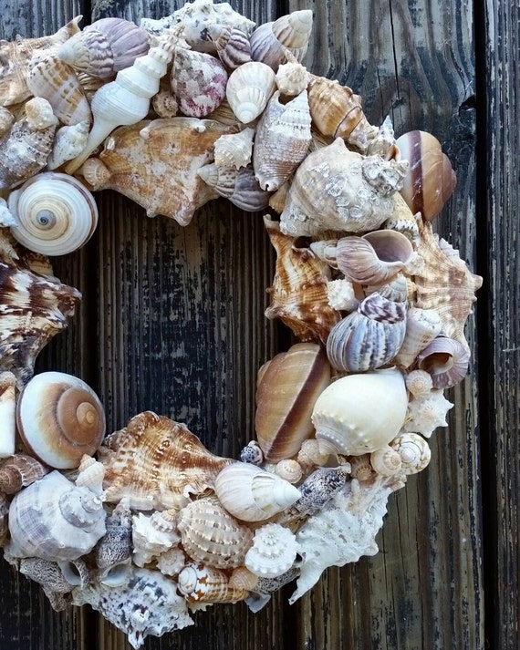 Sea Shell Wreath: Beach Decor, Coastal Wreath, Cream & Brown