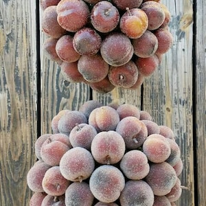 Christmas Topiary, Sugared Fruit Topiary, Ball Topiary, Sugared Plum Topiary
