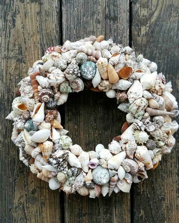 Seashell Wreath: Coastal Decor - Etsy
