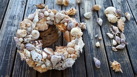 Shell Wreath, Sea Shell Wreath, Beach Wreath