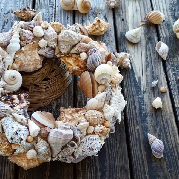 Shell Wreath, Sea Shell Wreath, Beach Wreath