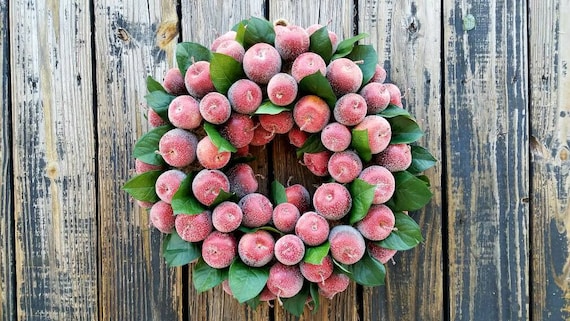 Sugared Apple Wreath, Christmas Wreath