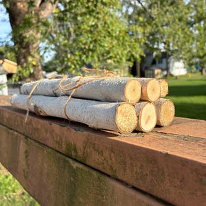 Puede incluir: Un manojo de cinco ramas cilíndricas de abedul con corteza blanca y papirácea y extremos circulares de color tostado claro. Las ramas están apiladas en forma de pirámide y sujetas con un cordel de yute fino de color marrón natural.