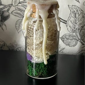 May include: A clear glass jar sealed with a cork stopper and white wax dripping down the sides. Inside the jar is a textured, off-white snake skin shed, a small purple flower petal, and a base layer of vibrant green preserved moss.