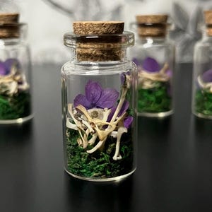 May include: A small clear glass bottle with a cork stopper containing a purple flower, small white animal bones, and green moss. The bottle is cylindrical with a narrow neck and a flat base, showcasing the organic contents clearly inside the glass.