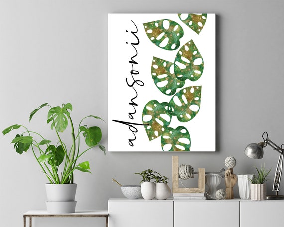 philodendron moonlight Philodendron main image 0