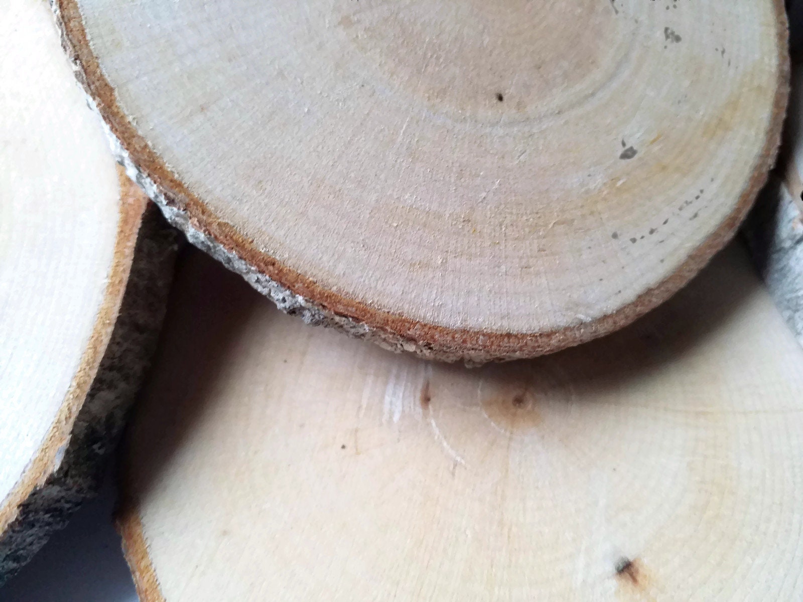 200 Maple Tree Slice Completely Dried and Lightly Sanded:3 to 3.5