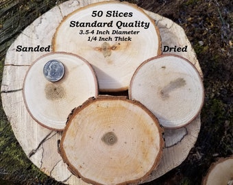 50 Extra Large Tree Slices-STANDARD Quality-DRIED And SANDED-Painting Blanks-Craft Slices-3.5 to 4 Inch Diameter-1/4 Thick-Ornaments Blanks