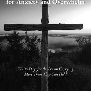 以下が含まれることがあります： 30 Day Devotional for Anxiety and Overwhelmというタイトルの白黒のブックカバー。サブタイトルはPaul Utter著Thirty Days for the Person Carrying More Than They Can Hold。画像には霧のかかった風景を背景にした木製の十字架が写っている。