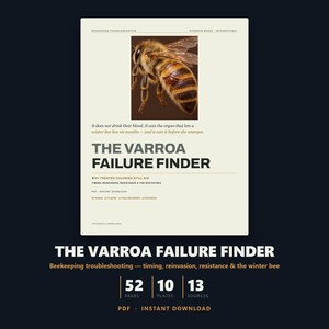 Pode incluir: Um documento digital intitulado The Varroa Failure Finder, com uma imagem detalhada de uma abelha. O texto inclui resolução de problemas de apicultura, tempo, reinvasão, resistência e a abelha de inverno, com 52 páginas, 10 placas e 13 fontes.