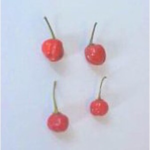 Bod'e Hot Peppers (Red) Seeds