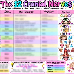 以下が含まれることがあります： The 12 Cranial Nervesというタイトルのカラフルな学習用チャート。名前、タイプ、機能、場所、記憶のコツの列がある表形式で、脳、目、鼻、耳、内臓のイラストがパステルカラーで描かれています。