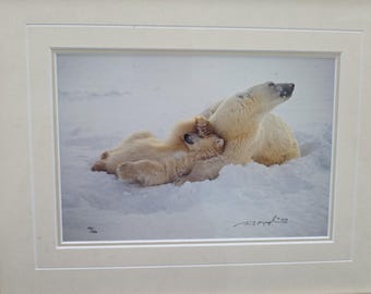 Thomas Mangelsen – Northern Comfort (Signiert 1999) 10x14 Gerahmt