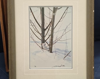 Thomas Mangelsen - Armiño en los árboles (Firmado, 1999) 10x14 Enmarcado