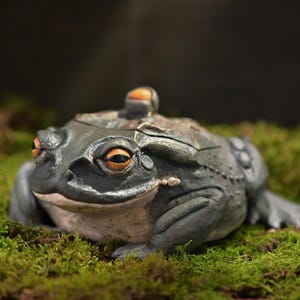 May include: A dark gray, toad-shaped container with a lid featuring a small, round knob. The toad has prominent orange eyes, a light-colored underbelly, and textured skin details across its back, presented as a functional decorative object.