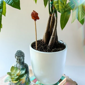 Carnelian Crystal Plant Charm Confidence and Vitality for Your Indoor Oasis Electro-culture for your indoor plants image 4