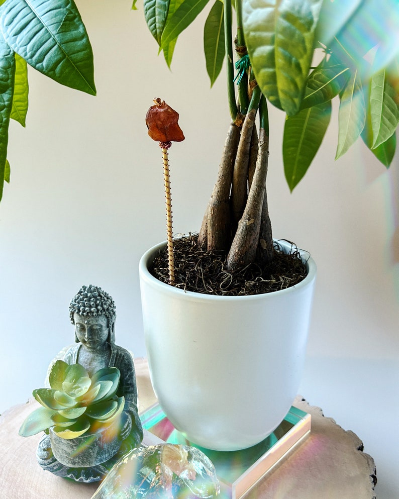 Carnelian Crystal Plant Charm Confidence and Vitality for Your Indoor Oasis Electro-culture for your indoor plants image 4