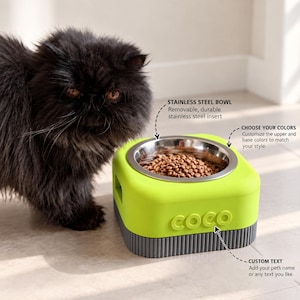 May include: A lime green and dark gray square pet bowl with a removable stainless steel insert. The bowl features the custom text "coco" embossed on the front side. A fluffy black cat stands next to the bowl, which contains brown dry food.