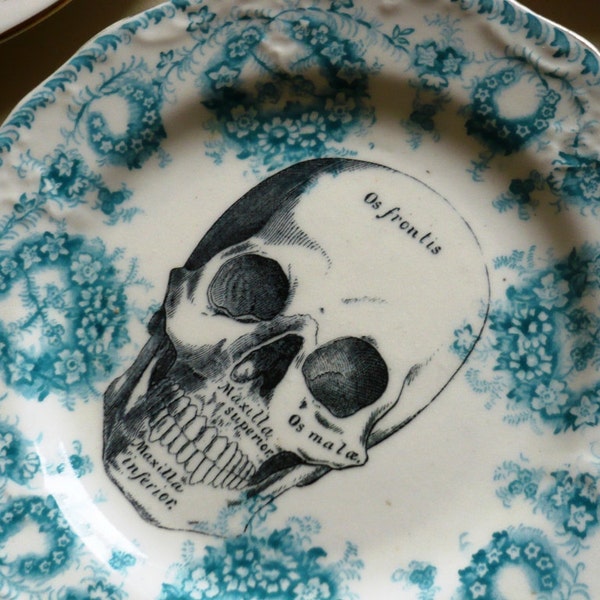 Skull Vintage China Dinner Plate Wall Decor - WALL range