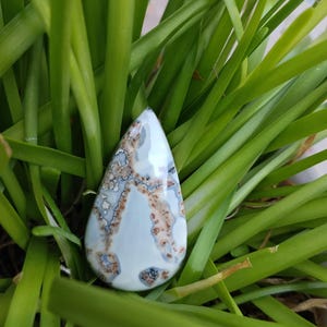 Può includere: Un cabochon di pietra preziosa lucidata a forma di goccia con una base liscia color grigio chiaro e intricati motivi ramificati di inclusioni color marrone chiaro, marrone e grigio scuro che creano un aspetto naturale a ragnatela.
