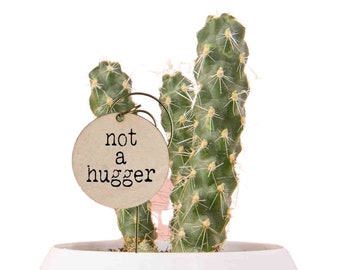 Plant Pun Set of 5 Garden Markers | Plant Stakes | Funny Plant Signs | Plant Decorations | Plant Lover Gift | Housewarming Gift | Houseplant